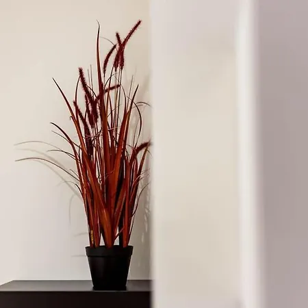 Apartman Quiet Center Ail *