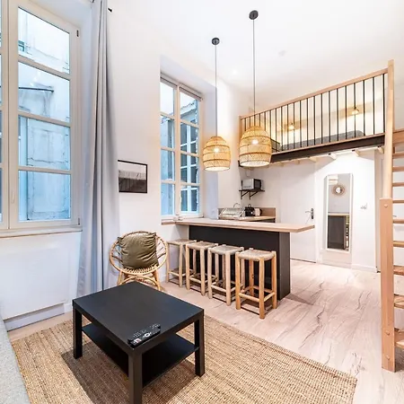Апартаменты Chic Loft Near Opera - Heart Of Opera - Aretha Лион