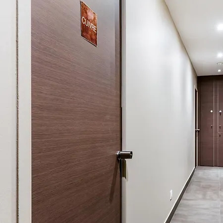 Apartment Studios Part-Dieu Gare - Homalyon *