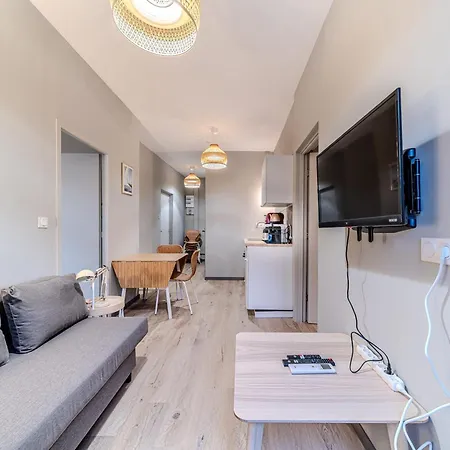 Les Halles - Charming 2-bedroom Near Bocuse And Part-dieu 里昂
