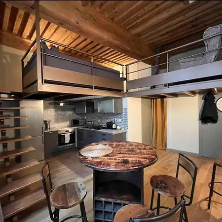Chez Alam A De 公寓 里昂