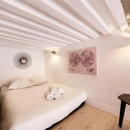 Duplex On The Slopes Of Croix-rousse Ail Apartment Lyon