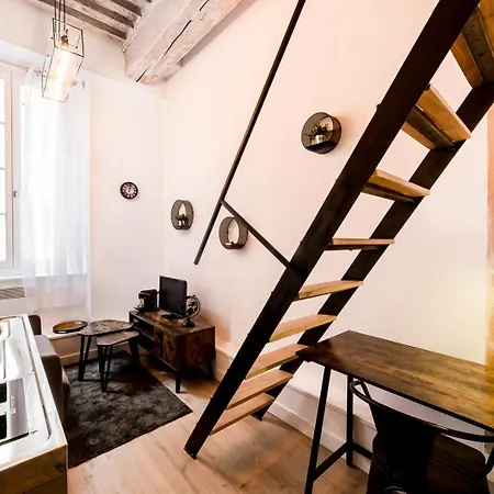 Duplex On The Slopes Of Croix-rousse Ail Apartment