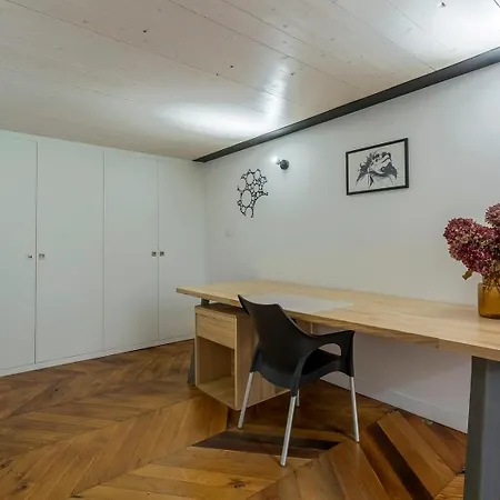 Charlie - Furnished - Downtown * 里昂
