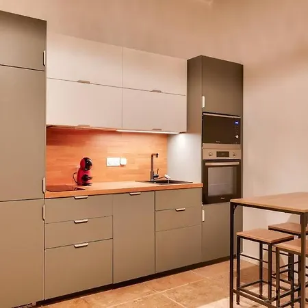 2br Flat Near Louis Pradel Metro Station Apartamento Lyon