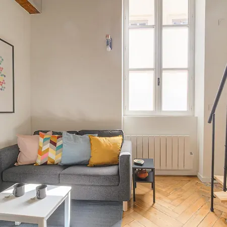 Cosy Et Atypique De Et Quais Du Rhone Appartement Lyon