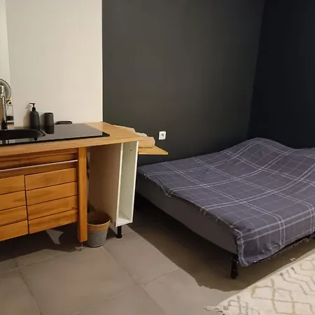 Loft Viarhona, Grand Loft En Centre-ville Séjour chez l'habitant Lyon