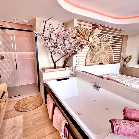 公寓 Blossom Suite-hyper Centre Jacuzzi Balcon Clim 里昂