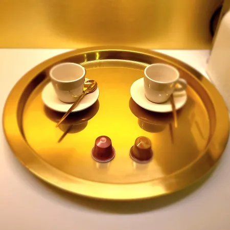 Golden Royal - De Gamme 公寓 里昂