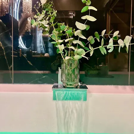 Host Bien-etre Jacuzzi Downtown Apartment