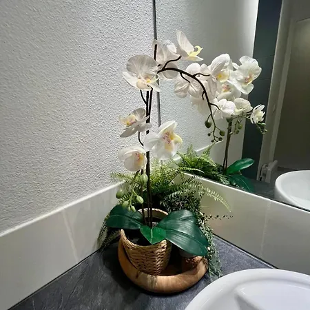 Appartement Lumiere In