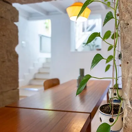 Lägenhet Avec Terrasse