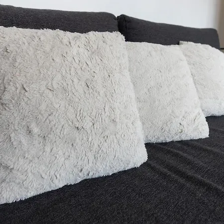 T3 Au Coeur De 7eme Apartment *