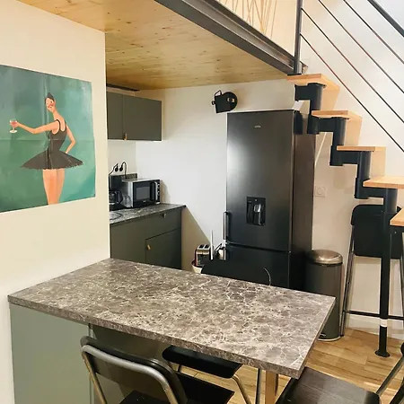 Le Cocon Lyonnais Appartement Lyon