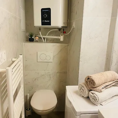 Appartement Le Cocon Lyonnais *