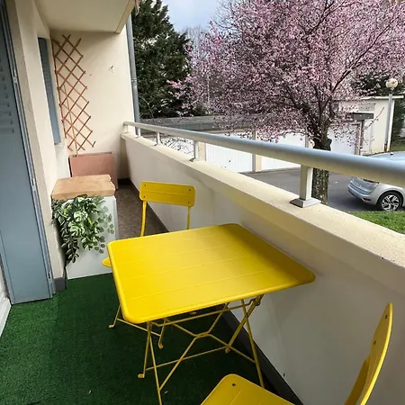 Appartement New & Cozy *
