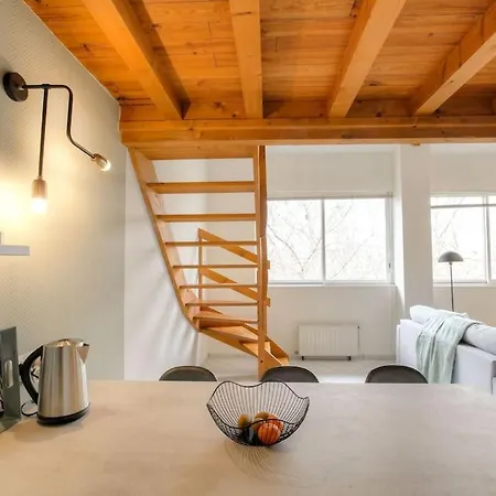 Loft Avec Mezzanine Au Coeur Du 3eme, Apartamento