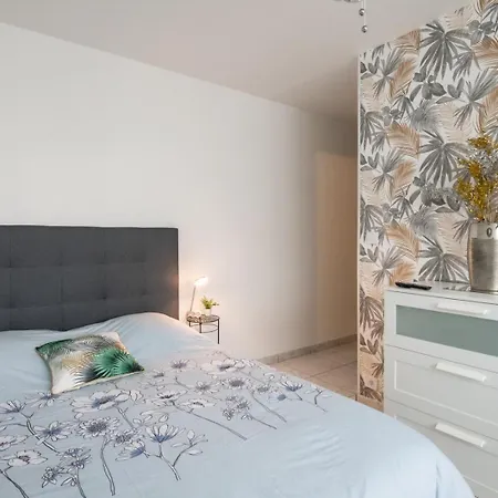 Le Jasseron - Cosy Avec Garage Quartier Partdieu