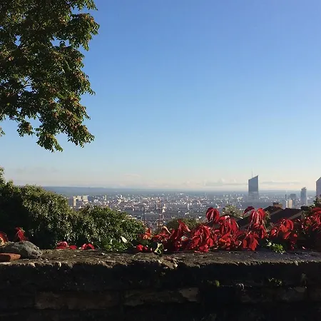 Bed & Breakfast Le Jardin De Beauvoir Lyon