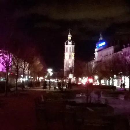 Les Allees De Bellecour Daire *